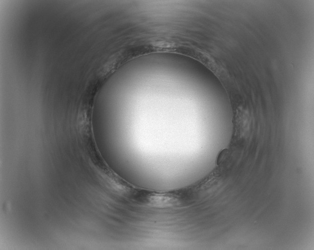 X0000071900614200607212018