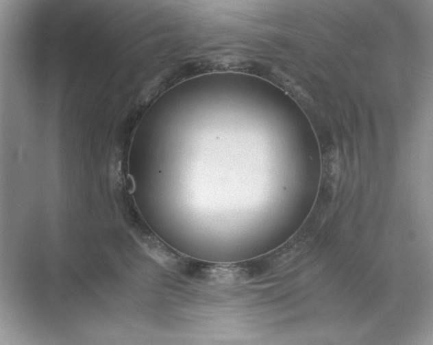 X0000071900615200607212018