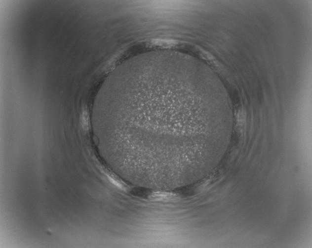 X0000071900617200607212018