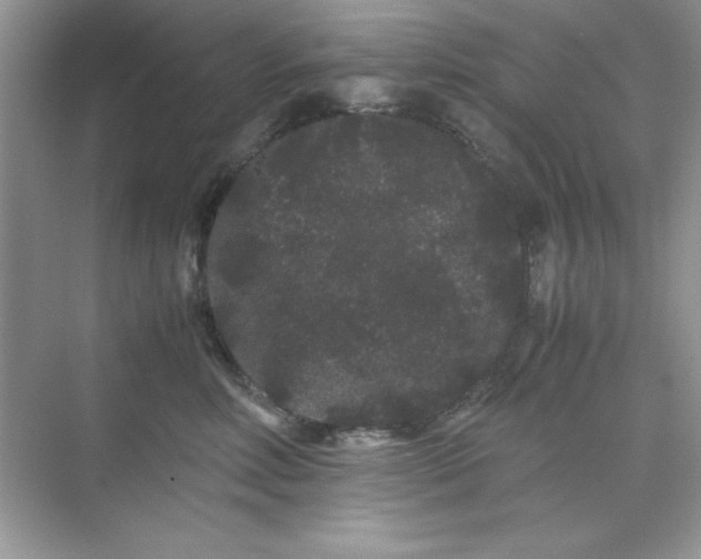 X0000071900618200607212018