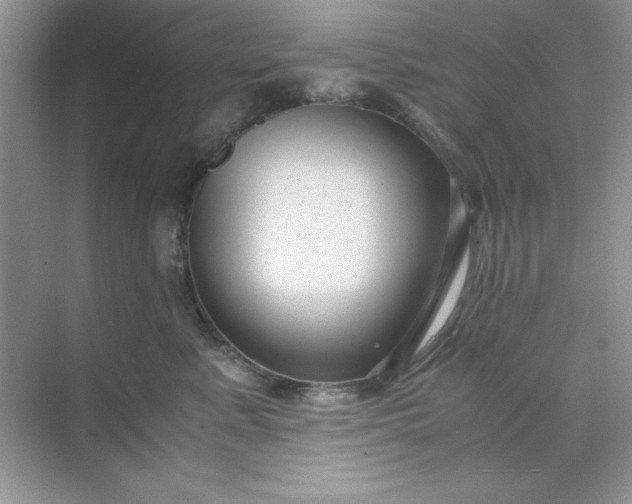 X0000071900619200607212018