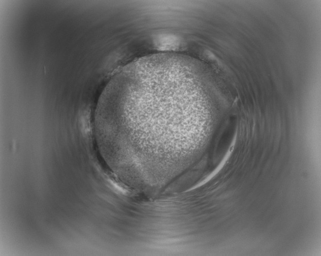 X0000071900620200607212018