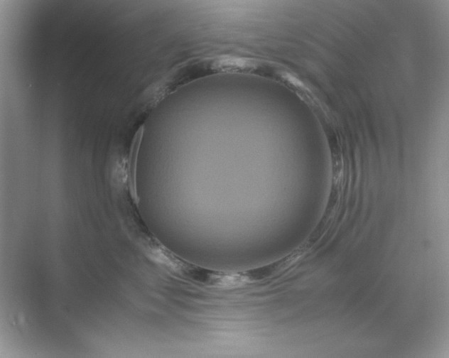 X0000071900621200607212018