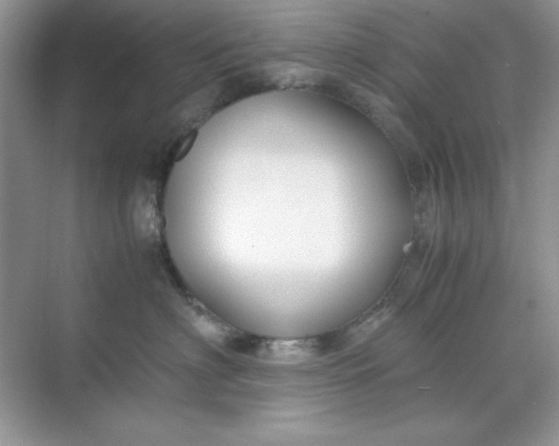 X0000071900622200607212018