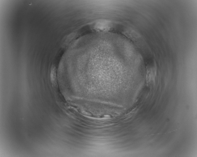 X0000071900623200607212018