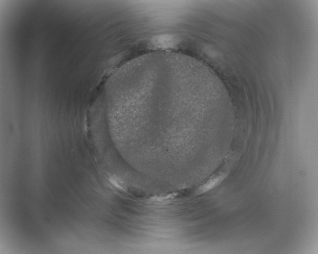 X0000071900624200607212018