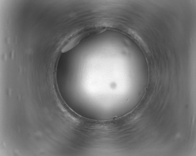 X0000071900625200607212017