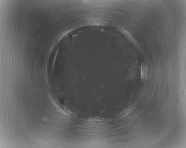 X0000071900627200607212017