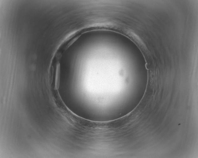 X0000071900628200607212017