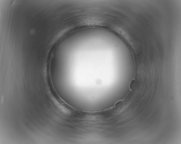 X0000071900629200607212017