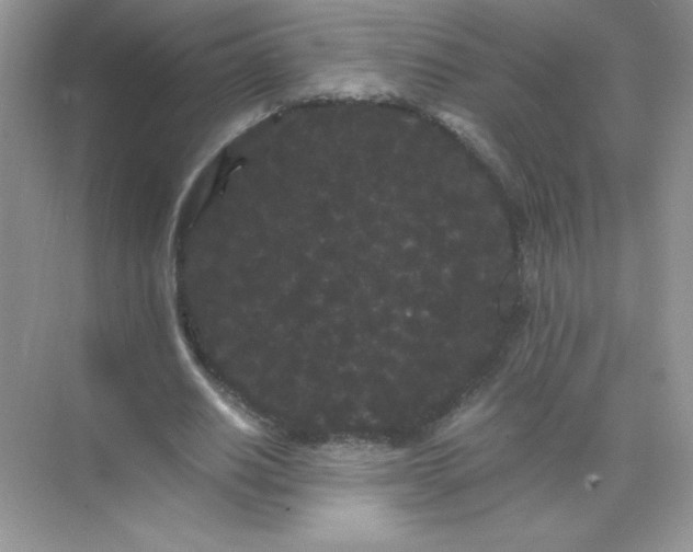 X0000071900630200607212017