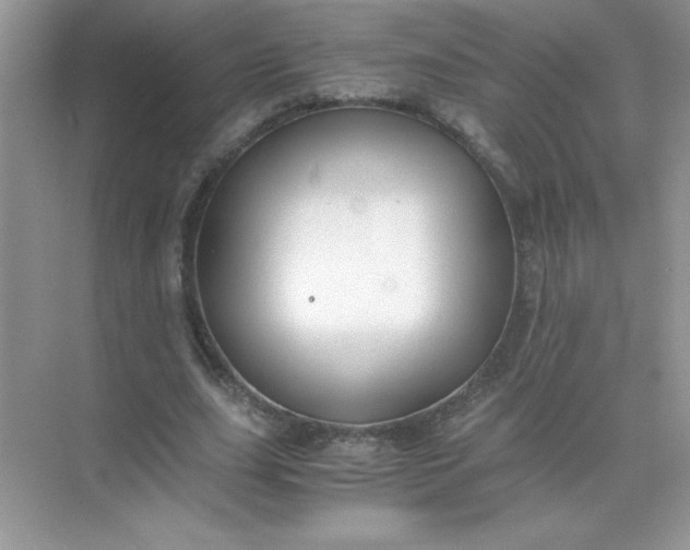 X0000071900631200607212017