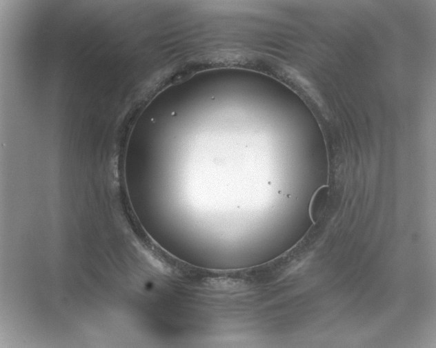 X0000071900633200607212017