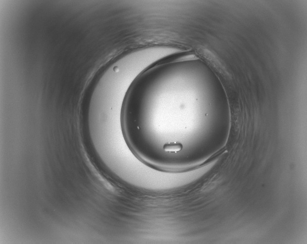 X0000071900634200607212017