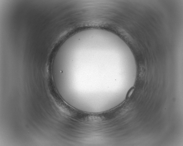 X0000071900636200607212017