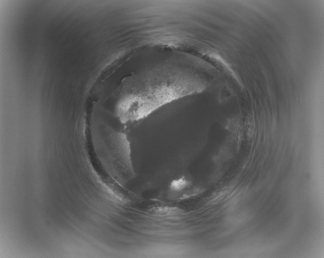 X0000071900637200607212017