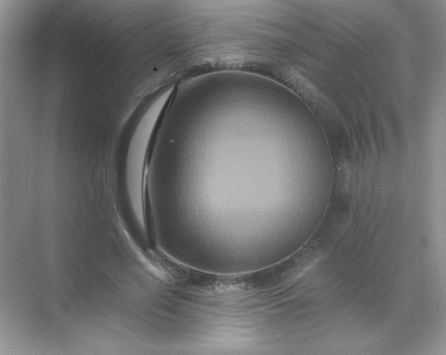 X0000071900638200607212017