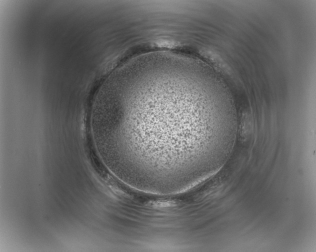 X0000071900639200607212017