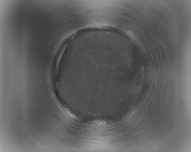 X0000071900640200607212017