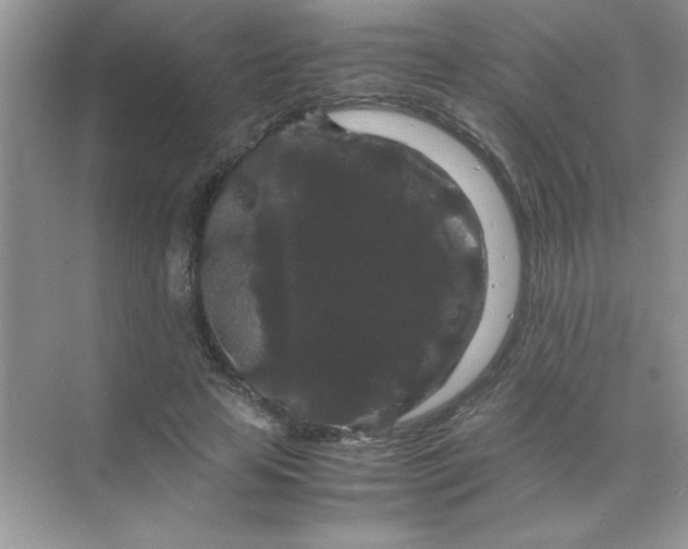 X0000071900641200607212017