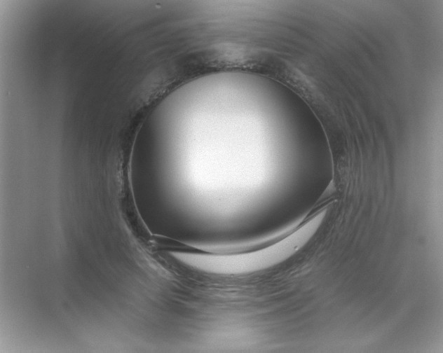 X0000071900642200607212017