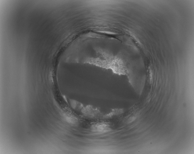 X0000071900643200607212017