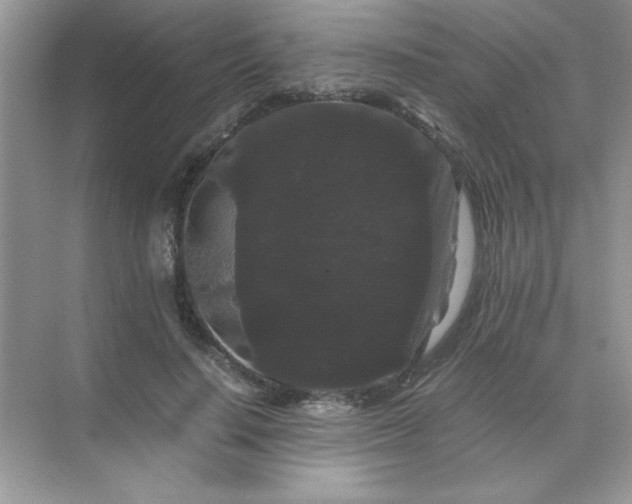 X0000071900644200607212017