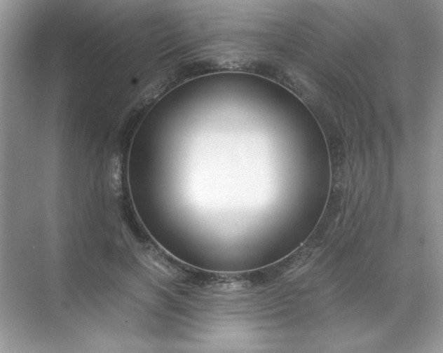 X0000071900646200607212017