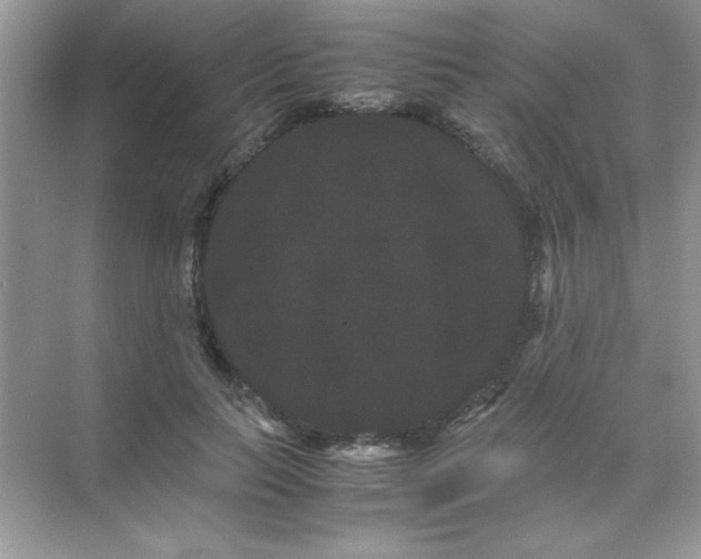 X0000071900647200607212017