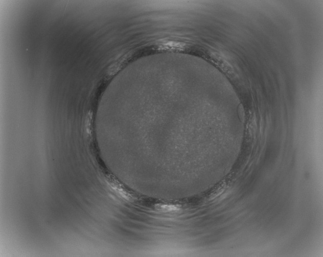 X0000071900649200607212017