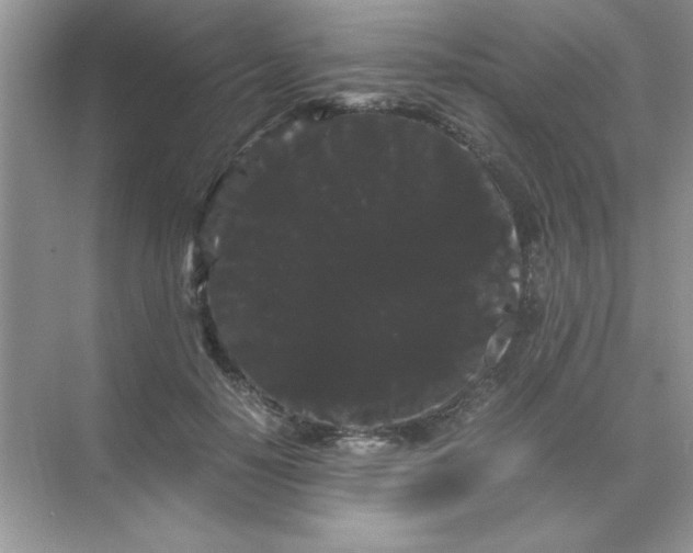 X0000071900650200607212017