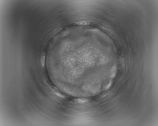 X0000071900652200607212017