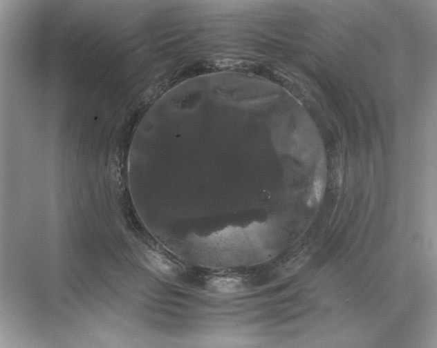 X0000071900653200607212017