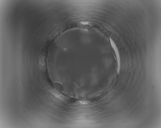 X0000071900654200607212017