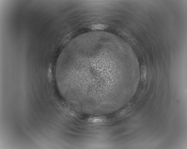 X0000071900655200607212017