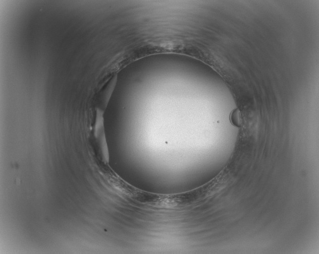 X0000071900656200607212018