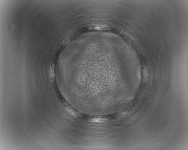 X0000071900657200607212018