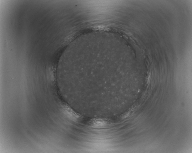 X0000071900658200607212018