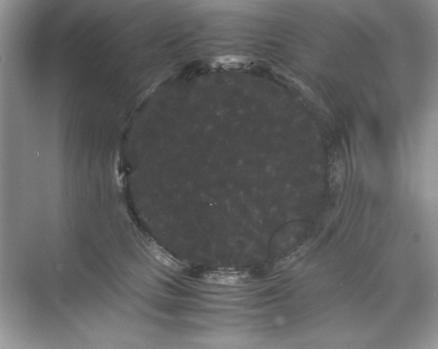 X0000071900661200607212018