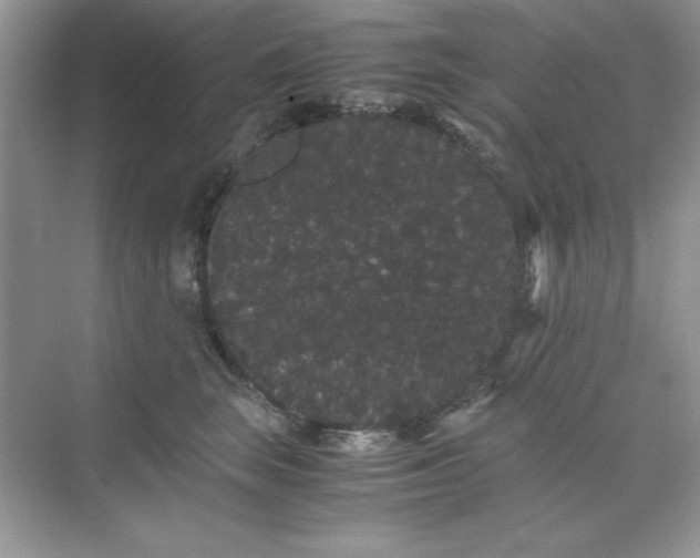 X0000071900663200607212018