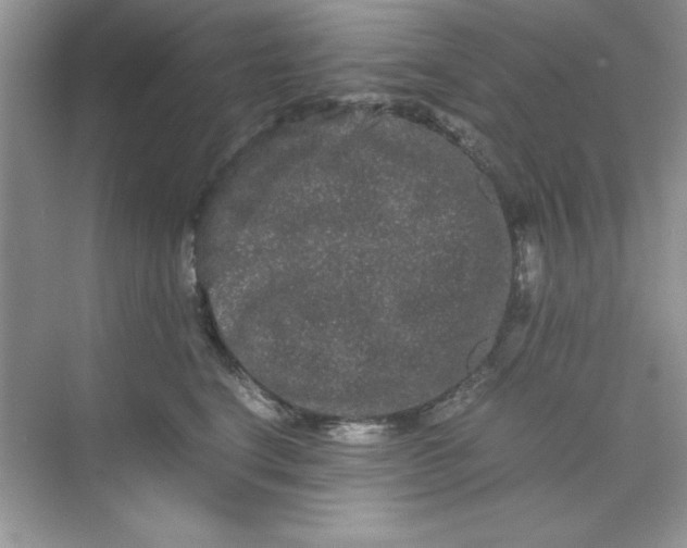 X0000071900664200607212018