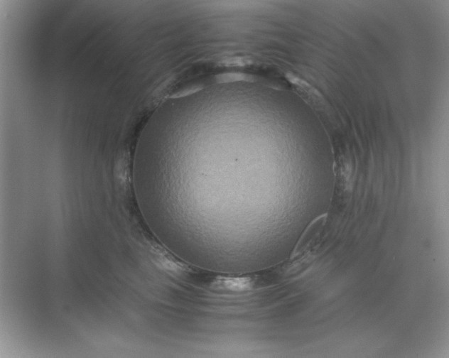 X0000071900665200607212018