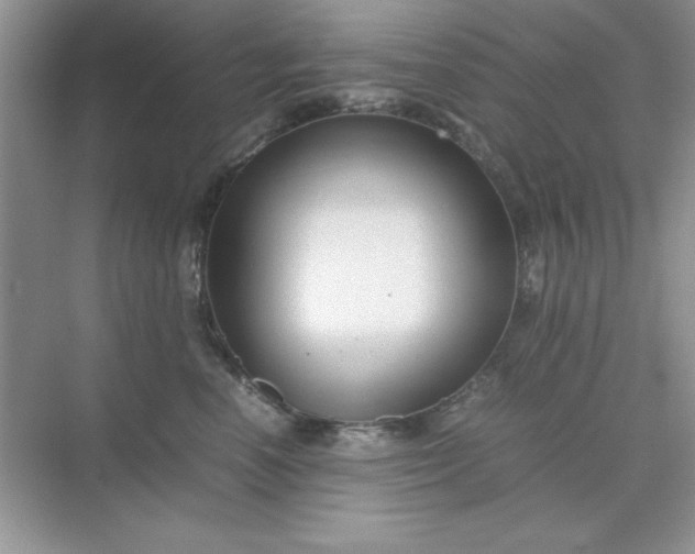 X0000071900666200607212018