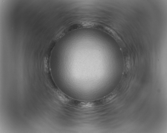 X0000071900667200607212018