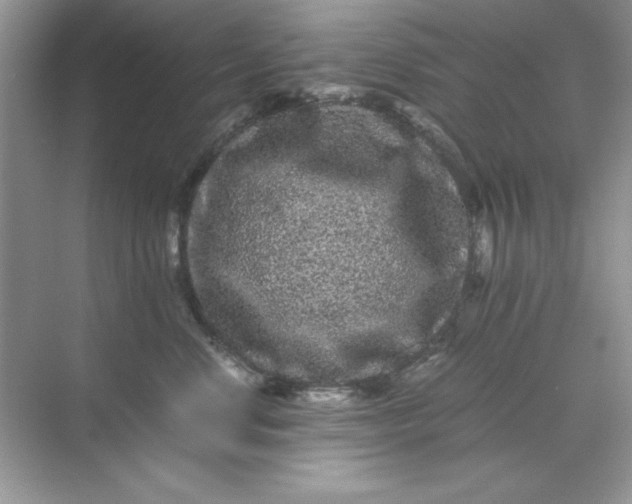 X0000071900668200607212018