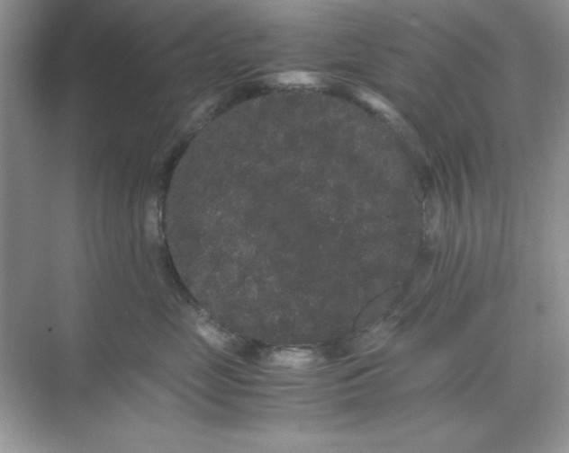 X0000071900669200607212018