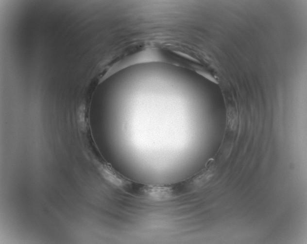 X0000071900670200607212018