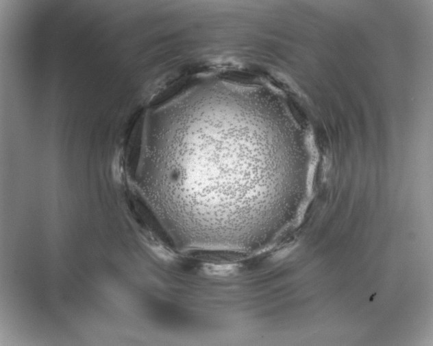 X0000071900671200607212018