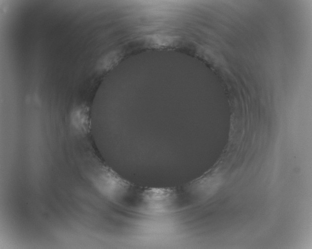 X0000071900672200607212018