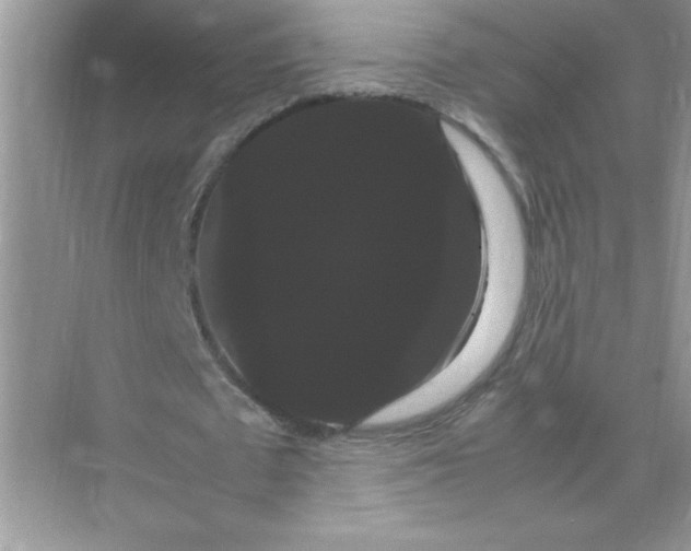 X0000071900673200607212017